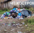 В Костроме жители улицы Катинской боятся нападения крыс с местной свалки  - K1News.Ru