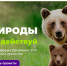 Экологические проекты со всей России могут получить поддержку на платформе «Зов природы» - Сетевое издание Петровские вести