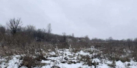 В Красноярском крае устанавливают причину гибели несовершеннолетней девушки - Сетевое издание Среда24