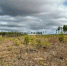 image - GazetaRB.Ru