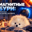 Калужанам рассказали, какие магнитные бури ожидаются в конце октября - Телерадиокомпания Ника