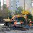 зоологическая.jpg - Администрация г. Ростов-на-Дону