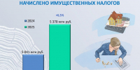 Какие самые большие налоги платят жители Алтайского края Фото №1 - Алтайская правда