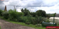 Видео - ТВН