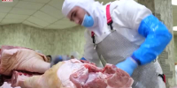 Видео - ТВН
