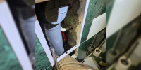 Застрявшего в простенке ванной комнаты котенка спасли в Новороссийске - Кубанские Новости
