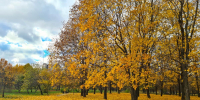 Днем - плюс, ночью - минус - MyOmutninsk.Ru