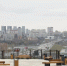 На левом берегу Новосибирска открыли смотровую площадку с видом на Обь - КП-Новосибирск