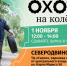 В Северодвинске пройдет акция по сбору покрышек - ИА Dvina29