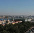 Сегодня в Зоологическим музее ЗИН РАН откроется выставка фоторабот выдающегося герпетолога Николая Орлова | ФОТО Александра ДРОЗДОВА - С.-Петербургские ведомости