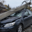 В Удмуртии суд взыскал с электросетевой компании более 700 тысяч рублей за упавшую на машину опору ЛЭП - Сусанин