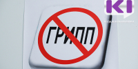 Обстановка по гриппу и ОРВИ в Коми остаётся благополучной  - ИА Комиинформ
