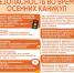 Памятка «Безопасные осенние каникулы». - Ивнянский район