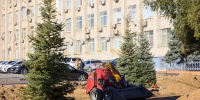 В Волгограде началось озеленение улицы 7-й Гвардейской - Комсомольская Правда