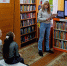 Герои книг – герои мультфильмов - Детская библиотека