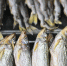 Рыбную продукцию с кишечной палочкой обнаружили в Нижегородской области - Комсомольская Правда