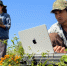 Apple представила MacBook Pro и iMac с процессором M6 - M24.Ru