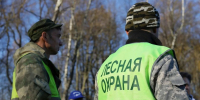 Акция «Чистый лес»: на страже здоровья лесов - Администрация г. Домодедово