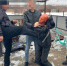 Суд утвердил приговор членам старооскольско-губкинской ОПГ - Oskol.City