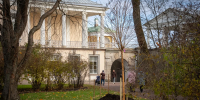 20 дубов и черемуху высадили в Царском Селе после июльского урагана - Комсомольская правда