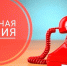 Новый номер телефона горячей линии для жителей города Иванова - Департамент Соцзащиты