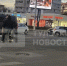На улице Советской произошло ДТП с участием легового автомобиля и мотоцикла - ИА Тульские новости