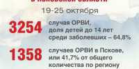 Один школьный класс и две группы в двух детских садах Псковской области закрыты на карантин из-за ОРВИ - Pln-Pskov.Ru