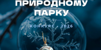 Прочее - Riac34.Ru