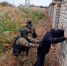ОМОН с полицией обезвредили группу условных диверсантов на предприятии в Волгограде - ИА Высота 102.0