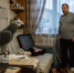 Фото: PRIMPRESS/ИИ | В Приморье попугай произнёс фразу, после которой жена подала на развод - PrimPress.Ru