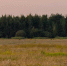 Картинка - Regions.Ru