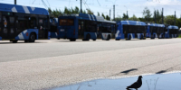 В Петербурге изменили трассу троллейбуса № 90 - Spbdnevnik.ru