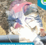 93c78d0d-b63f-4595-ad75-846dffccbbd6.jpg - GorodnaBire.Ru