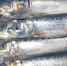 Дальневосточная сардина (иваси) на прилавке. Архивное фото - Fishnews.Ru