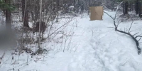 В Нижнеудинском районе мужчина во время охоты случайно застрелил приятеля - ИА Тайшет24