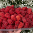 Социальный контракт — так ли это страшно и хлопотно? - Прокопьевский муниципальный округ