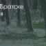 Поделитья во ВКонтакте - Братская Студия Телевидения