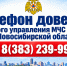 В Новосибирской области круглосуточно работает телефон доверия - МЧС Новосибирской области