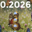 Bazaart_2026-10-27_221648 - ЗА Новомосковск