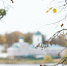 Фото: ПАИ - InformPskov.Ru
