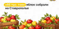 фото с группы в ВК Правительства региона. - НИА-Кавказ - Ставрополь