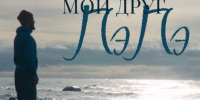 «Мой друг ПэПэ» из Ульяновска взял две награды в Индии - Ulyanovsk.Express