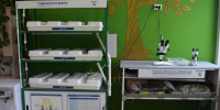 В Республике Алтай открыли шесть агроклассов - Правительство Республики