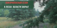 Пожароопасный сезон завершился в Белгородской области - Сетевое издание Знамя 31