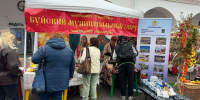 Костромская губернская ярмарка 2026 - РДК Камертон