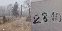 Фото: скриншот Маглипогода | «Ветер такой — аж свет потух»: жители Приморья рассказали, как пережили первый снег - PrimPress.Ru