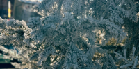 Мороз до -35°С: Погода в Якутии на 29 октября - Yakutia-Daily.Ru