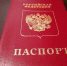 Потерю паспорта теперь можно оформить через «Госуслуги» - ИА Новомосковск Сегодня