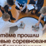 В Артёме прошли краевые соревнования по робототехнике. - Администрация Артёмовского городского округа