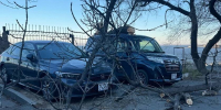 Дерево рухнуло на припаркованные авто во Владивостоке - ГТРК Владивосток